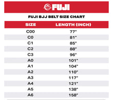 FUJI Jiu Jitsu Adult Belts - Jitsu Armor